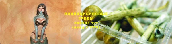 MESCALINE Аркадак