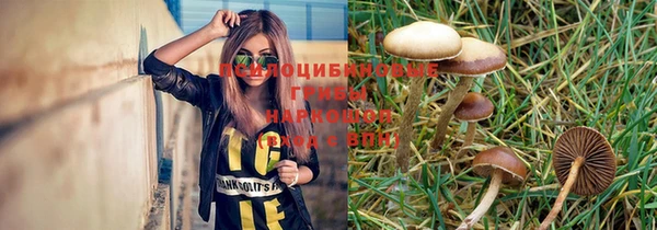 молекула духа Армянск