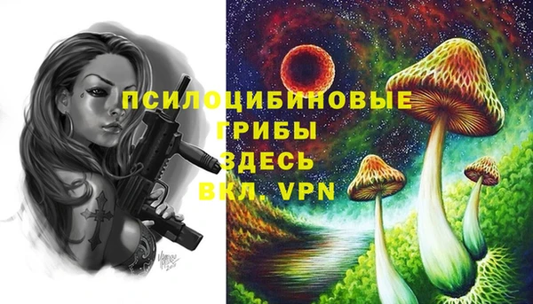 молекула духа Армянск